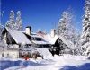 BOROVETS   -    .. (Travid-02)11-100